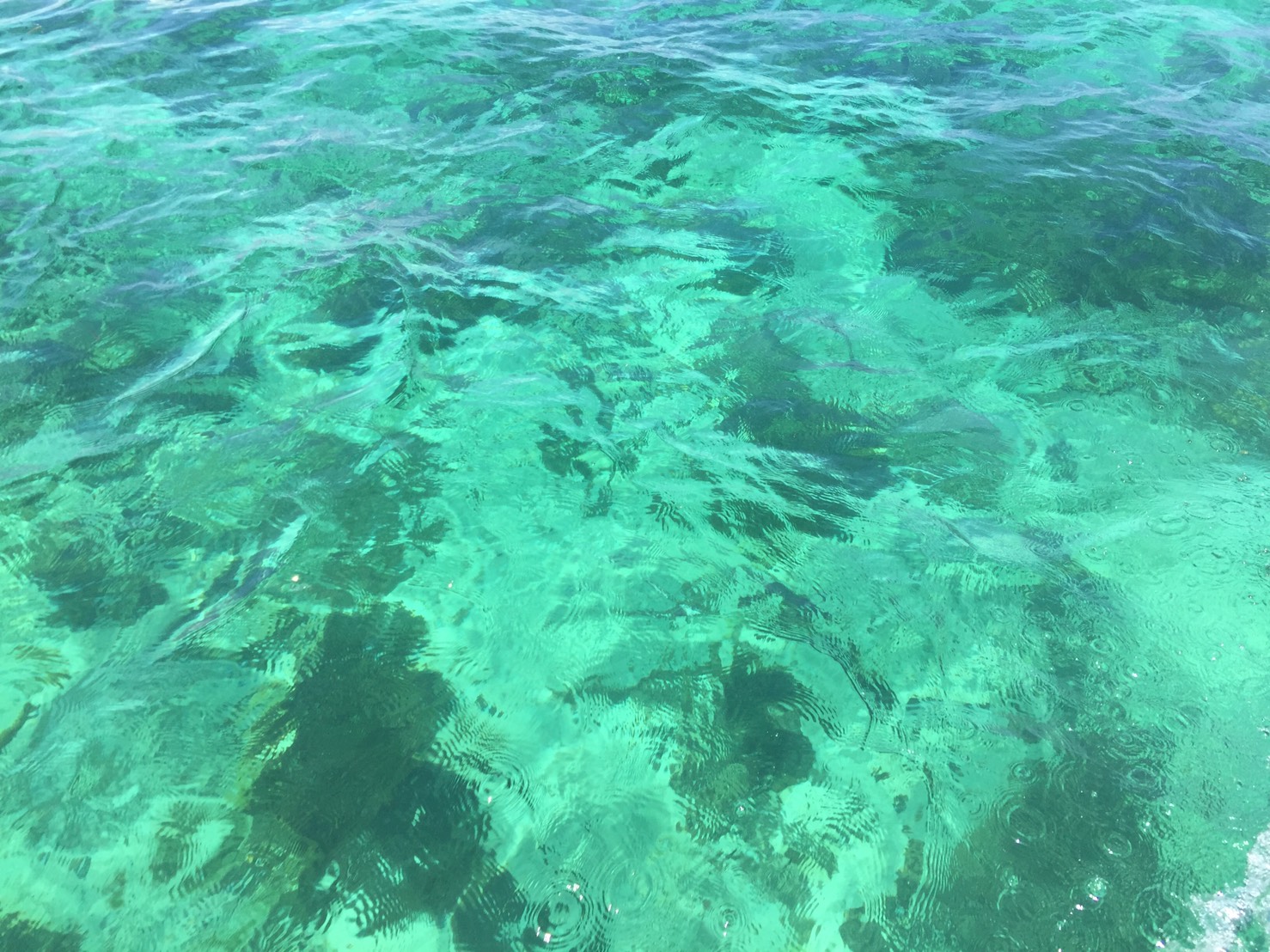 セブ島の海②