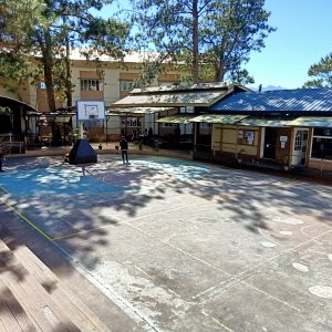 00 Sport Yard