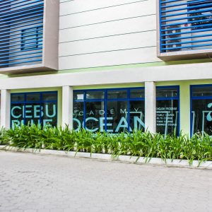 CBOA Building Side with glass sticker