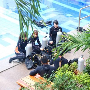 CPI SCUBA2