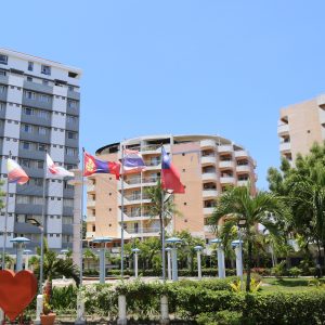 IMG_0053 (1)