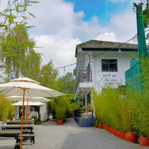 KKM01212 (1)