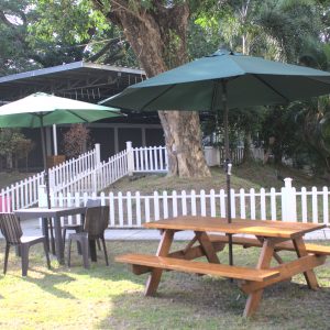 33 Main Building - Backyard (1)
