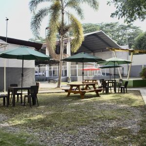 34 Main Building - Backyard (2)