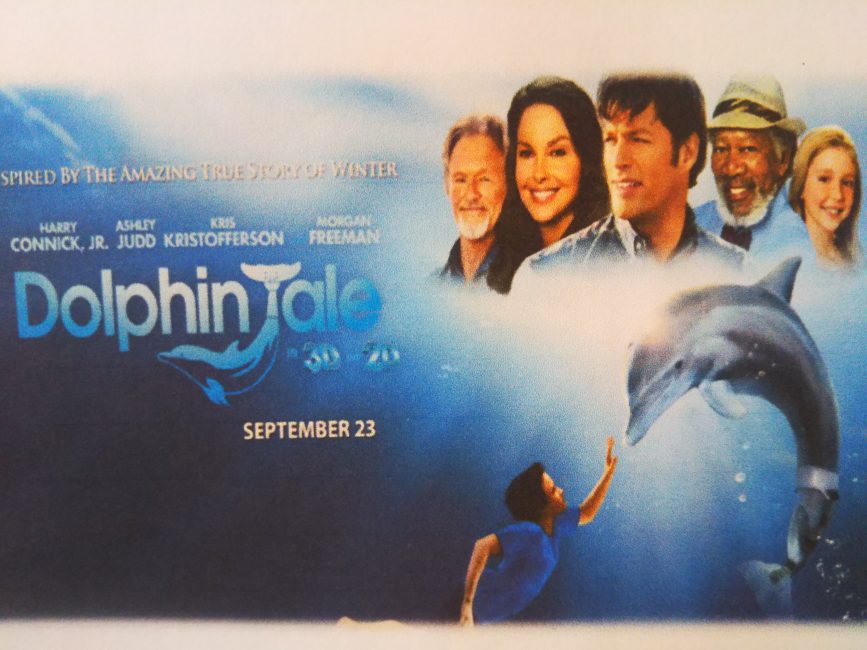 フィリピン留学　3D Dolphin Tale