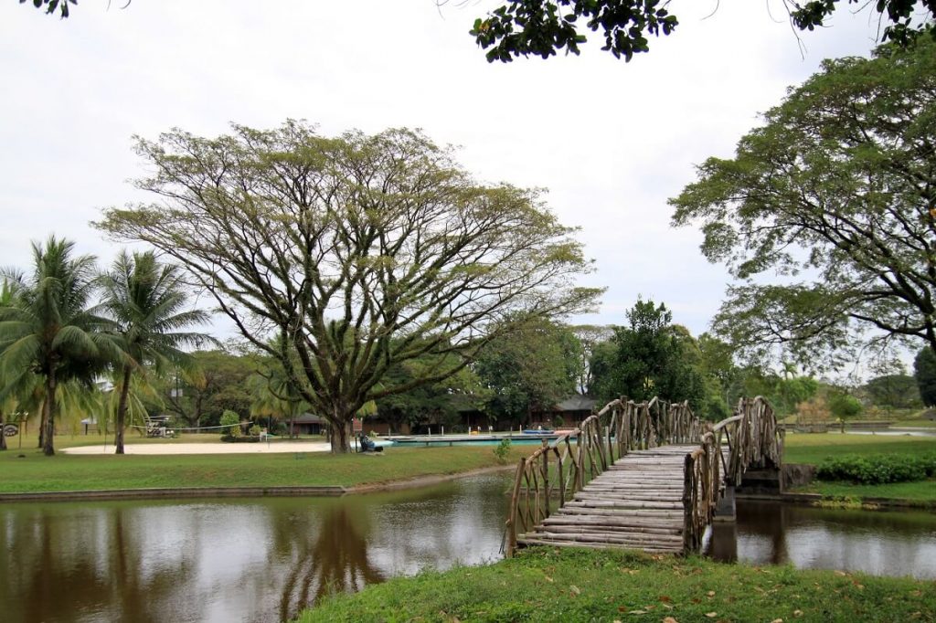 フィリピン留学　HELPクラーク　近くの公園の池