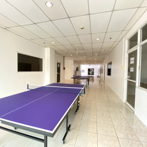ANNEX2_pingpong