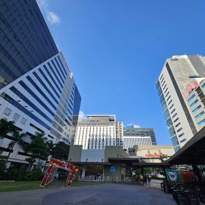 Ayala central bloc2
