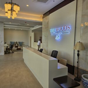 entrance lobby (2)