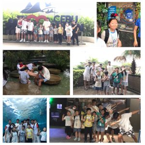 Ocean Park1