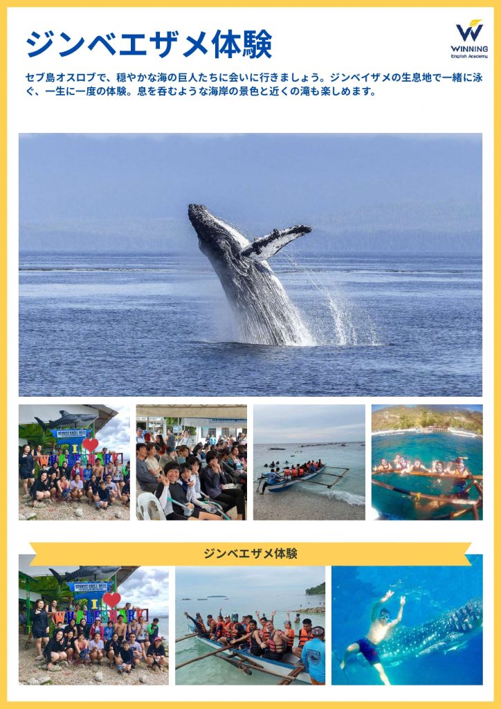 WINNINGキャンプ_2026夏_page-0019